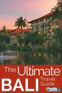 Bali is an entire island made up of many different towns, all unique and different. Having just finished a second visit spending a collective three months exploring Bali, I've developed this Ultimate Bali Travel Guide. Here I'll break down what to see and do, where to stay, and where to eat in the most popular towns throughout Bali.