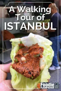 See the sights of Istanbul with me and Serif Yenin. Find some great food and some great attractions you may not have known about!