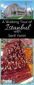 See the sights of Istanbul with me and Serif Yenin. Find some great food and some great attractions you may not have known about!