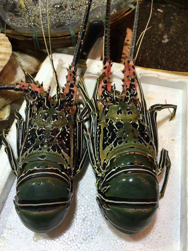 Lobsters! Easily the highlight of my time in Hong Kong was the walking food tour that I was invited to join. In this post I'll show you my favorites and even the one dish from the tour I didn't like.