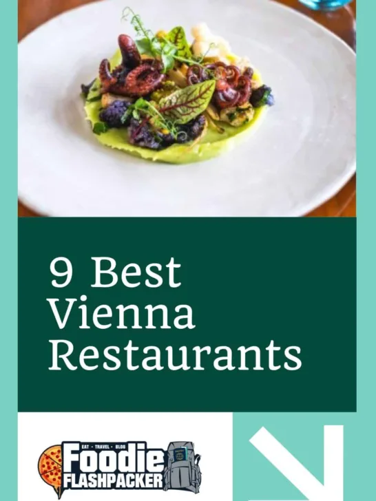 9 Best Vienna Restaurants