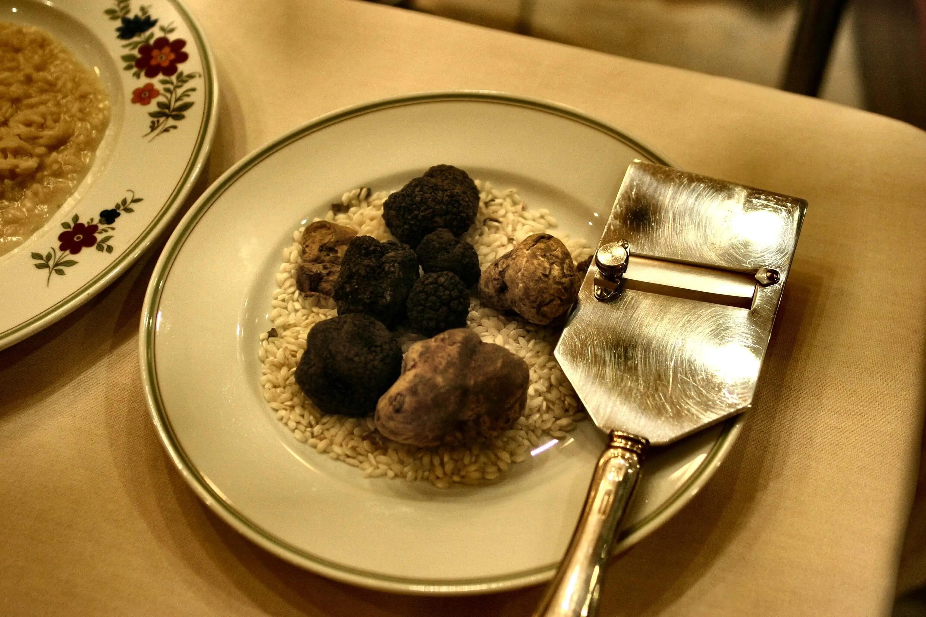Prague truffle hunting