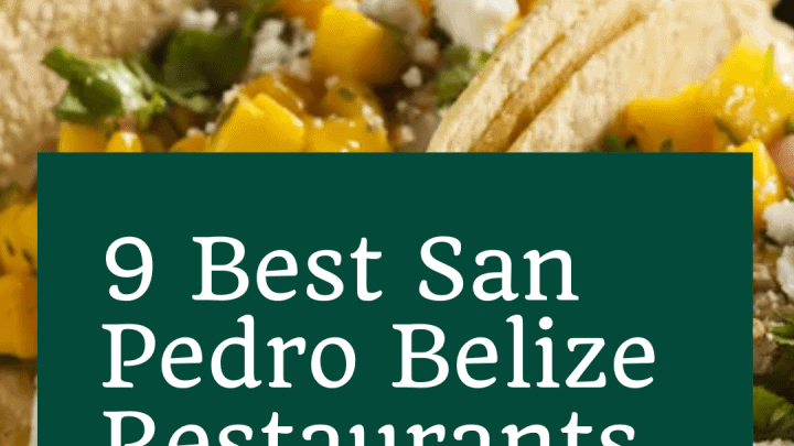 9 Best San Pedro Belize Restaurants
