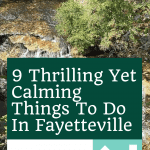 9 Fun Things To Do In Fayetteville NC | Best Fayetteville Things to Do