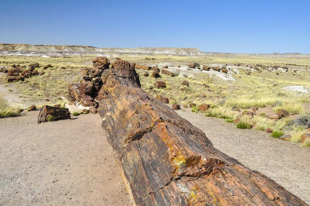 Route 66 Attractions: Petrified Forest