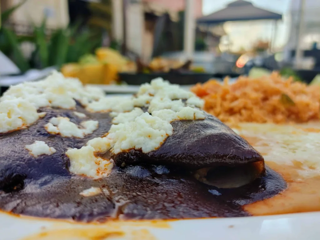 Restaurants In Dublin CA: Enchiladas De Mole Poblano