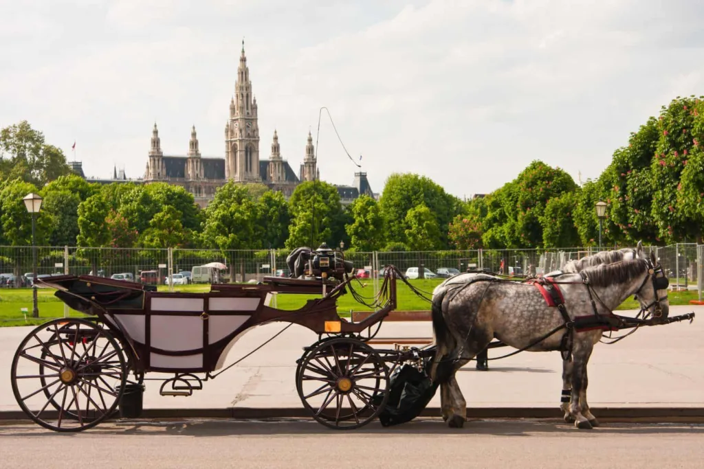 Things To Do In Vienna: Horse Drawn Carriage (Fiaker) Tours