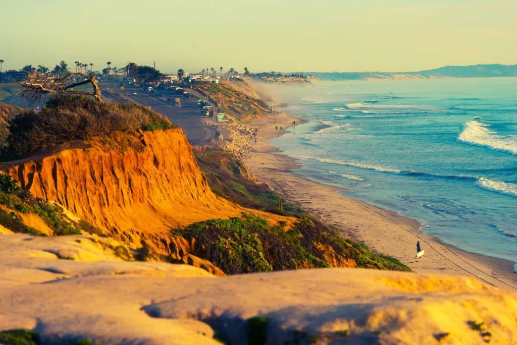California Food: California
