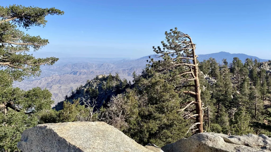 Things To Do In Palm Springs CA: Mt. San Jacinto State Park