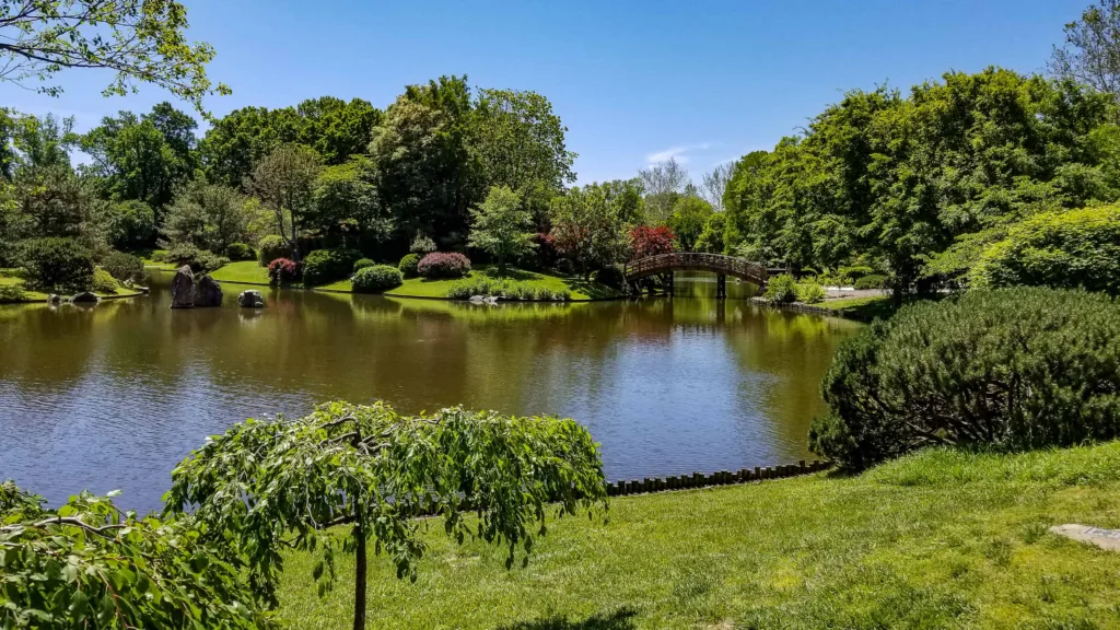 Things to Do In St. Louis: Forest Park