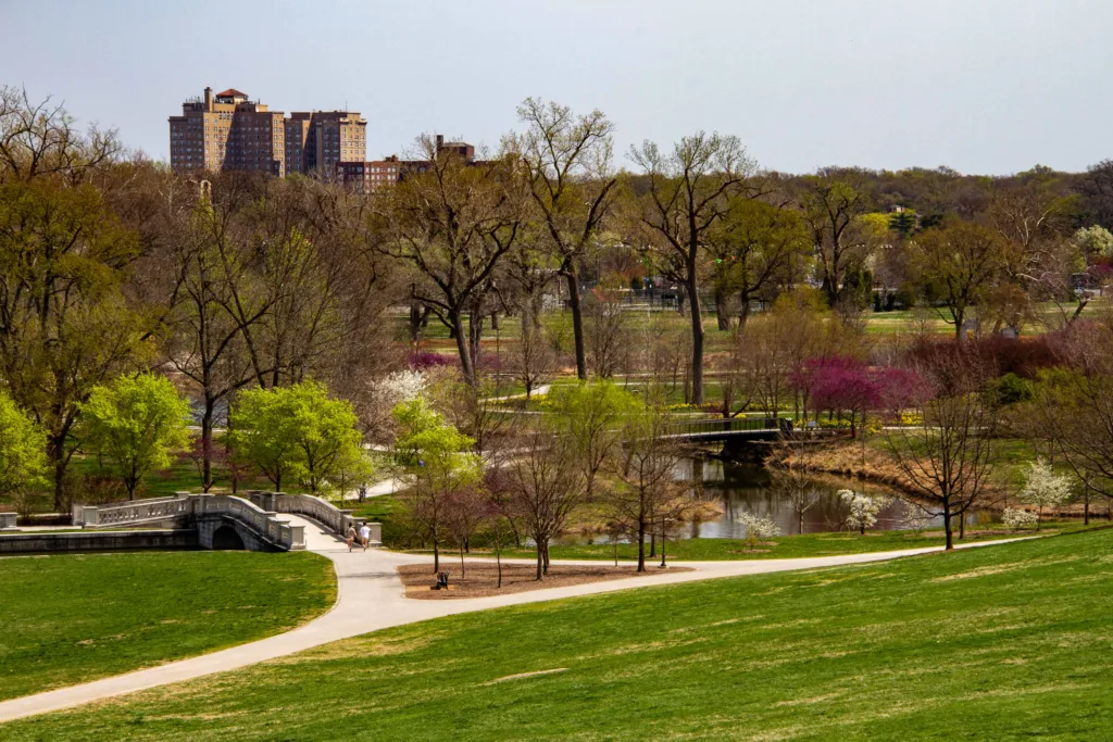 Things to Do In St. Louis: Forest Park