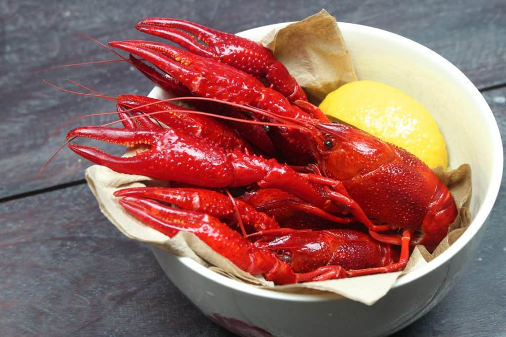 Wildcat Brothers Distilling Crawfish Boil