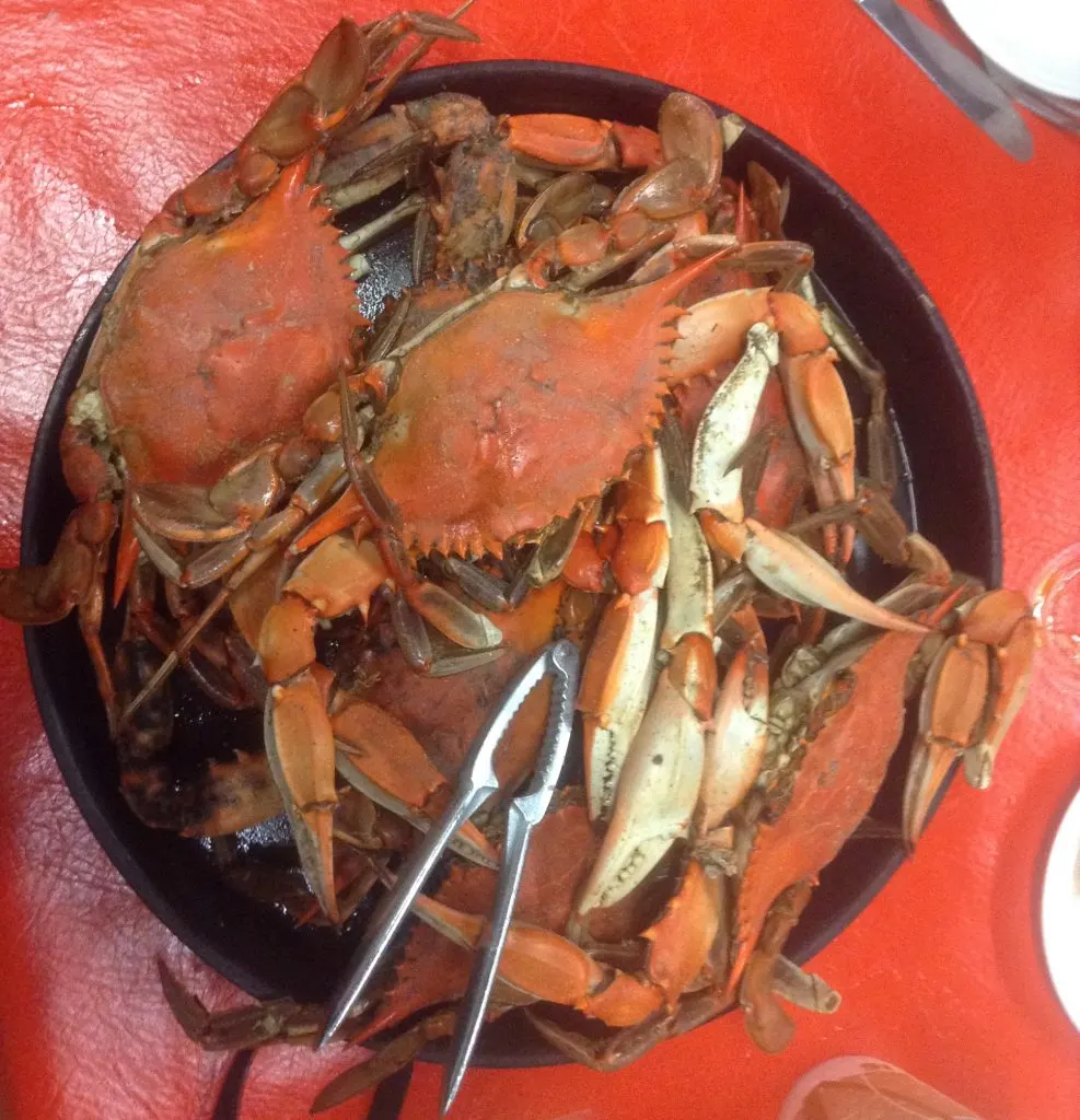 crab dish Panorama Music House Crab Drish