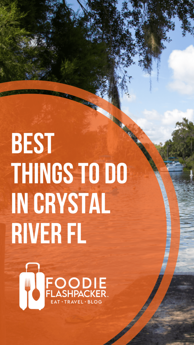 The Seven Best Things to Do in Crystal River, FL