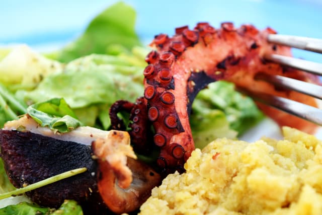 L27 Rooftop Lounge Grilled Octopus