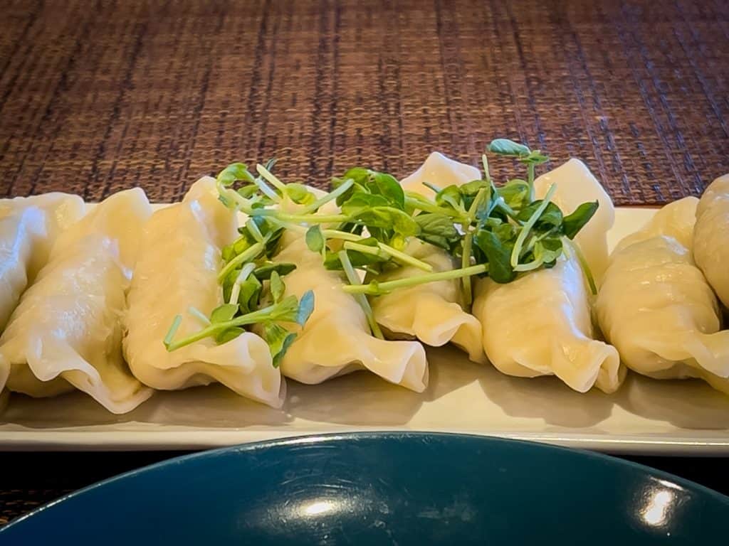 steamed dumplings at Blossom Kitchen