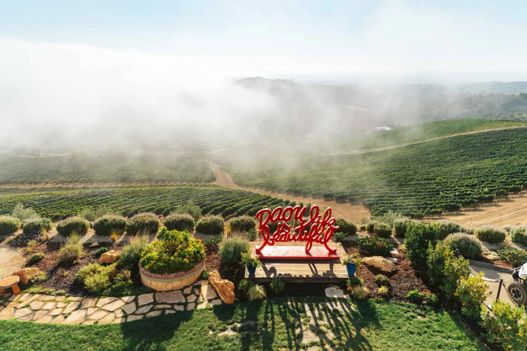 DAOU Vineyards