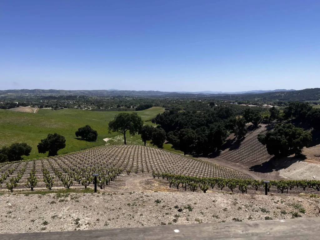 Guyomar Wine Cellars Vineyards