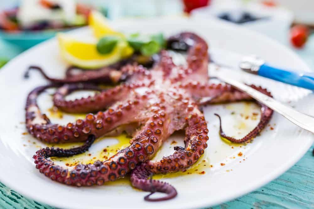 Cooked octopus