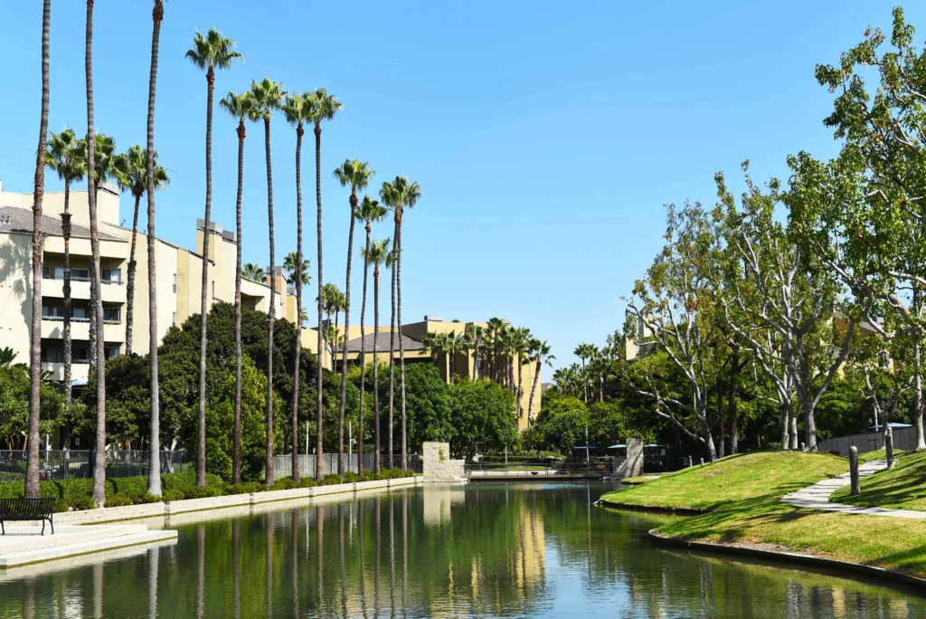 Vegan Restaurants in Costa Mesa