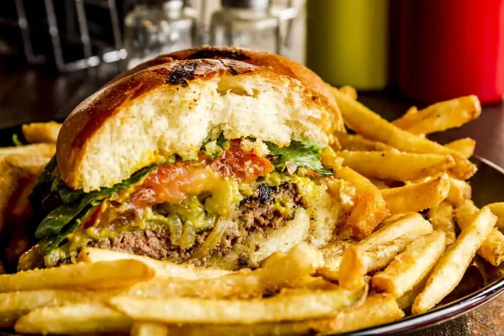 gourmet hamburger