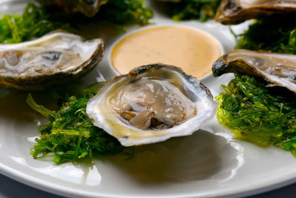Oysters at Jianna