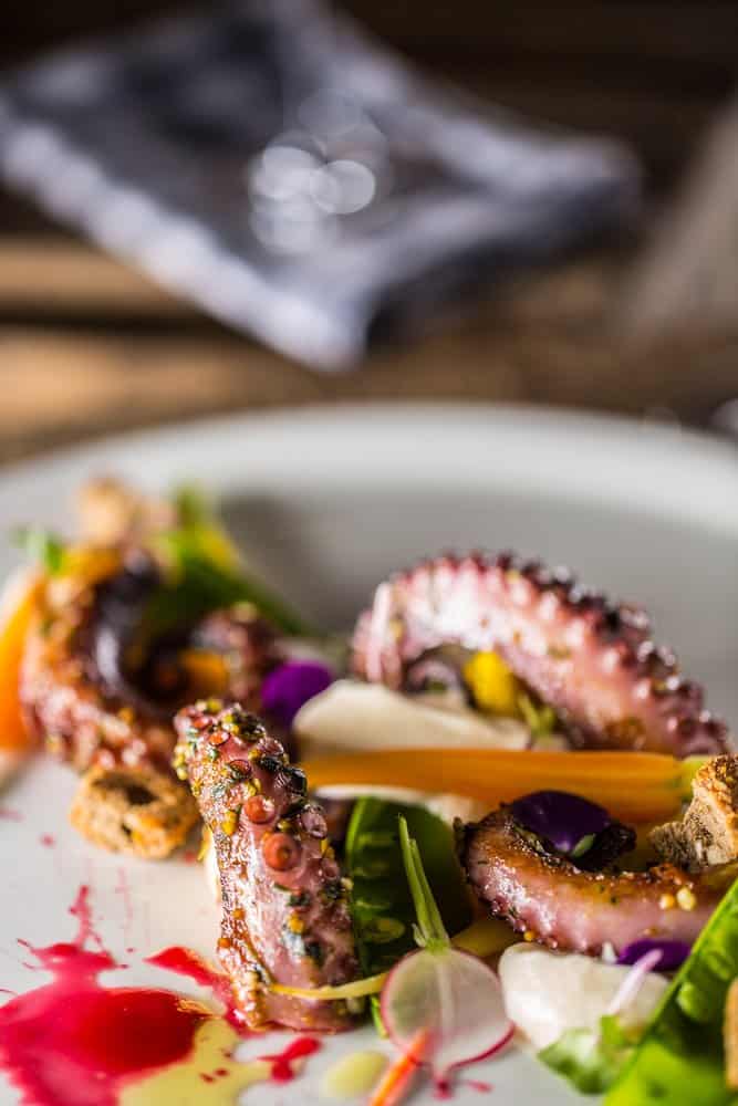 octopus salad