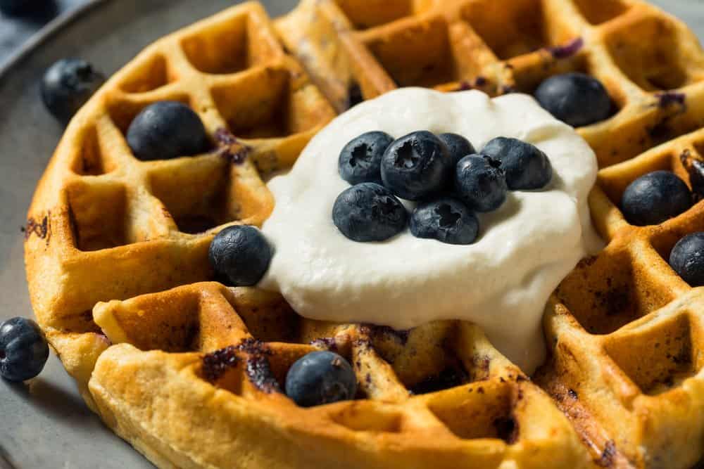 blueberry waffle