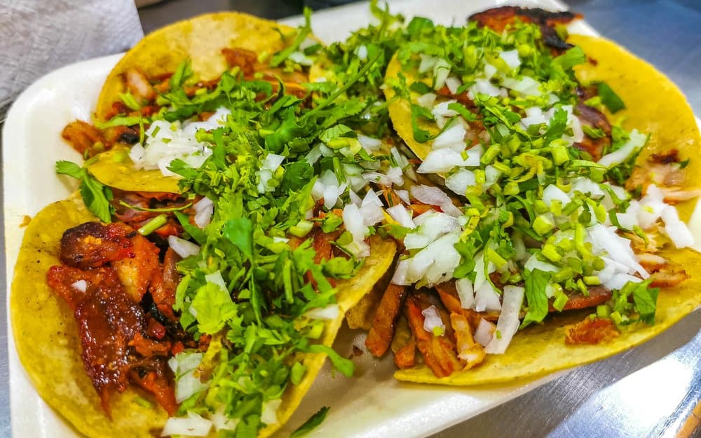 Close-up of three beef tacos with fresh cilantro and chopped onions.