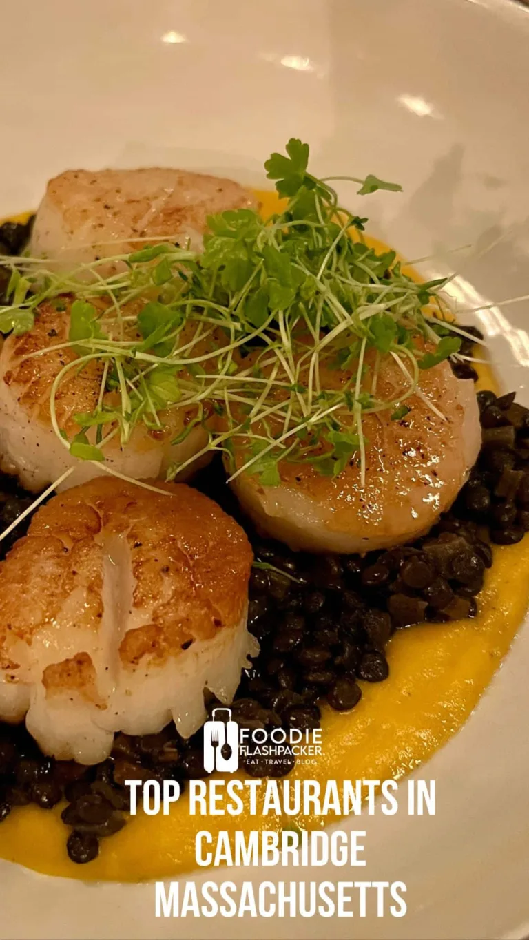 The Best Restaurants in Cambridge, Massachusetts