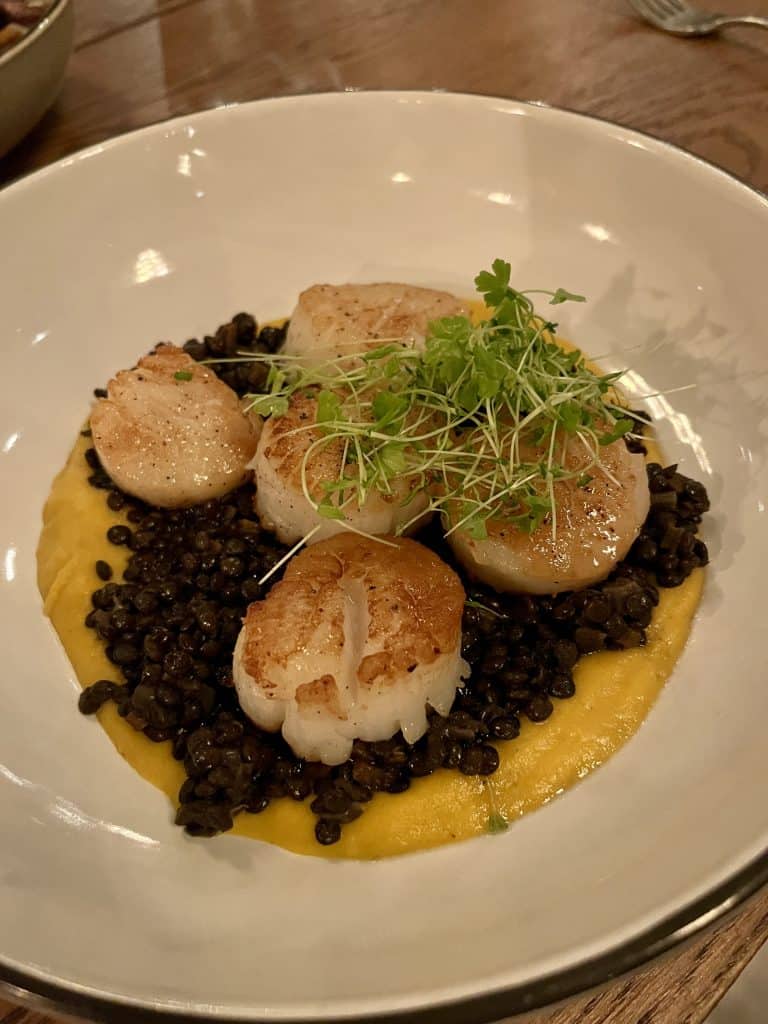 SEARED SCALLOPS