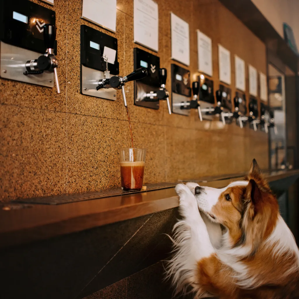 Pet Friendly places at Plant Street Market