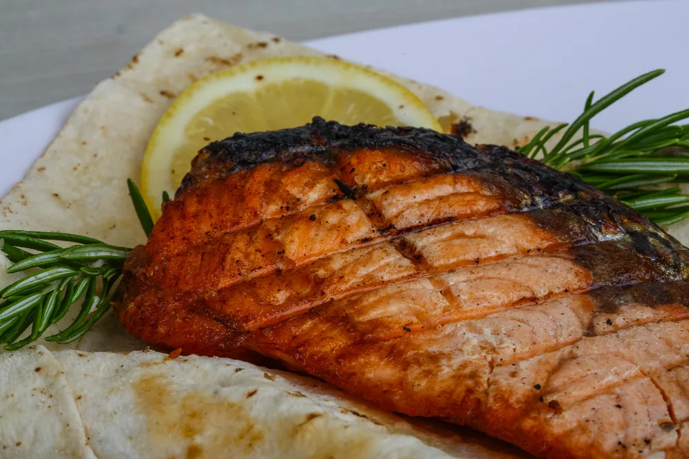 Salmon