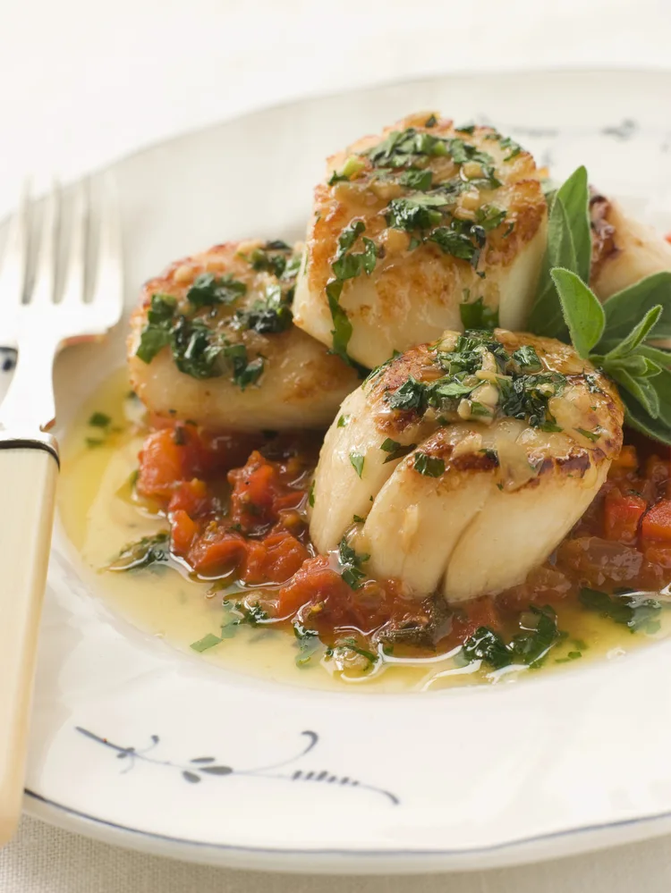 scallops