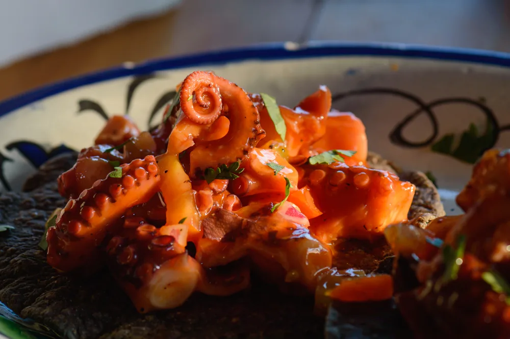 octopus