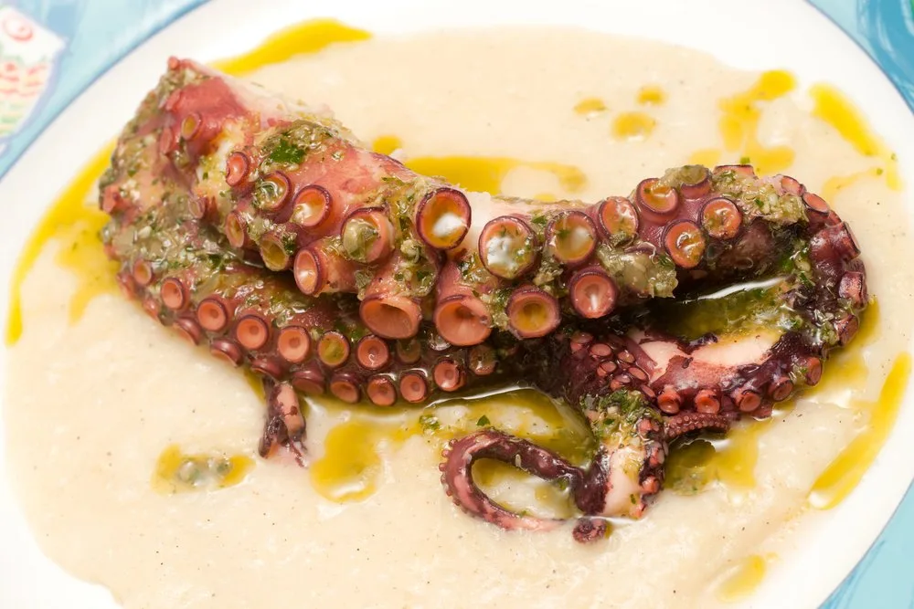octopus