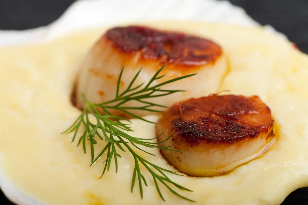 scallops