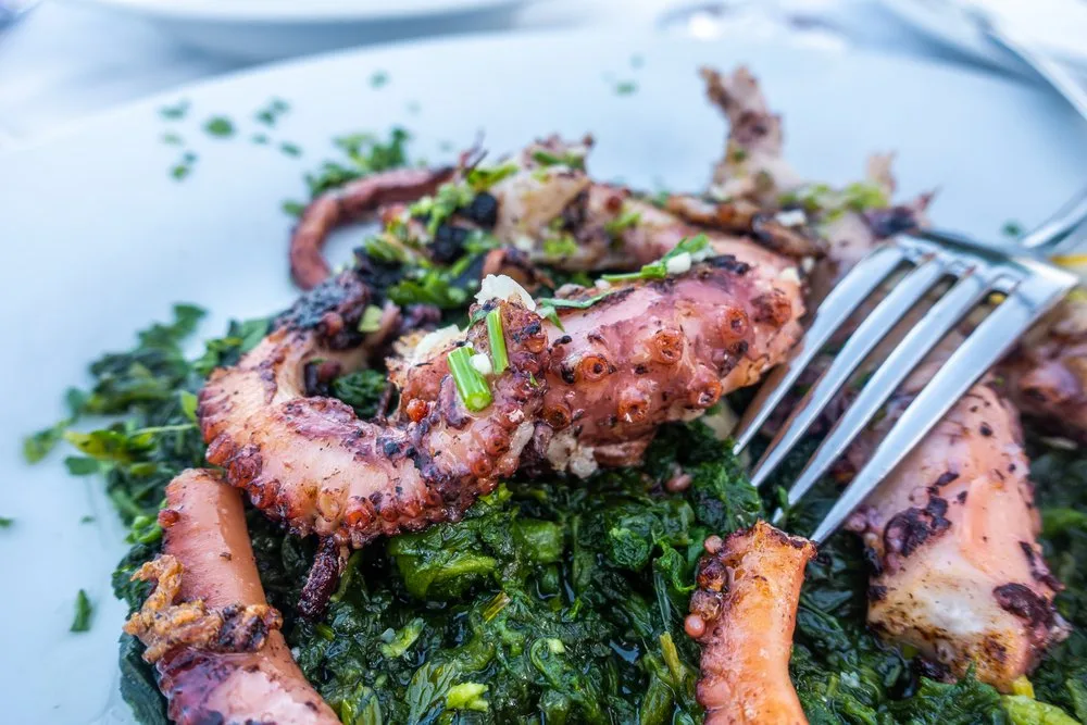 Charbroiled Spanish Octopus