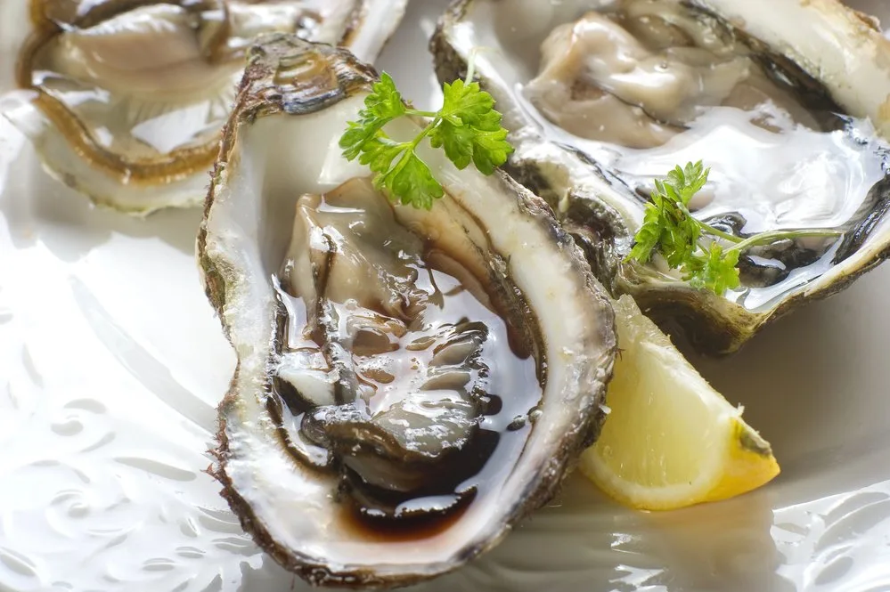 oysters