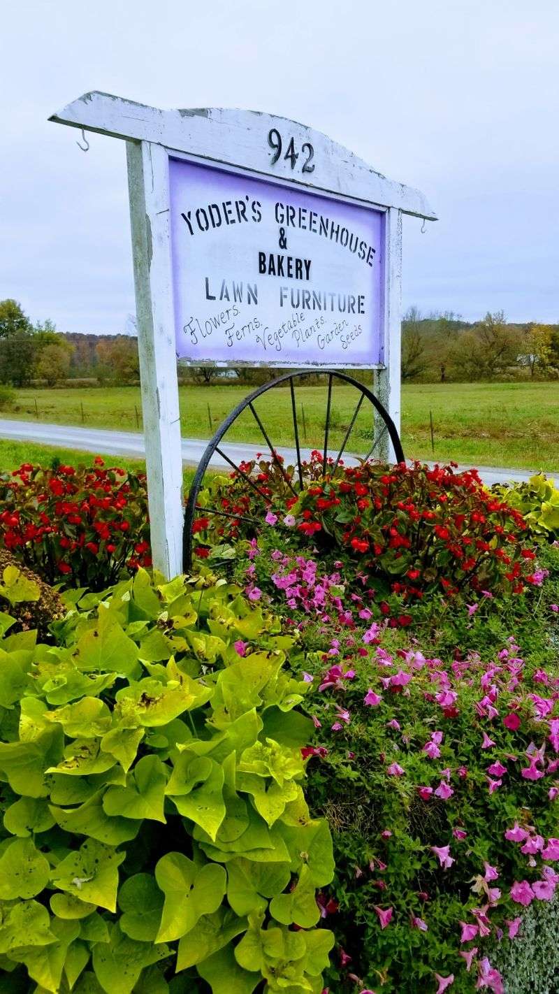Yoder's Bakery Marion